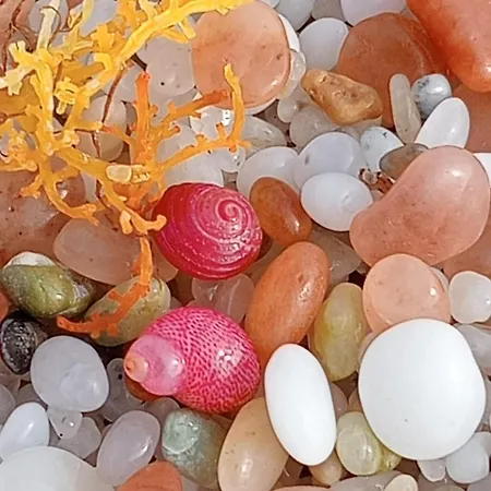 Villa Sa Marchesa Solanas (Oristano)