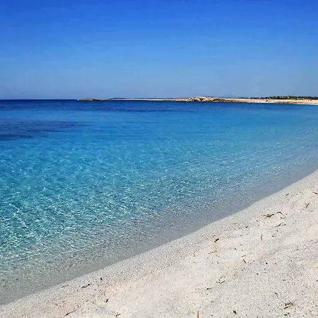 Sa Marchesa فيلة *