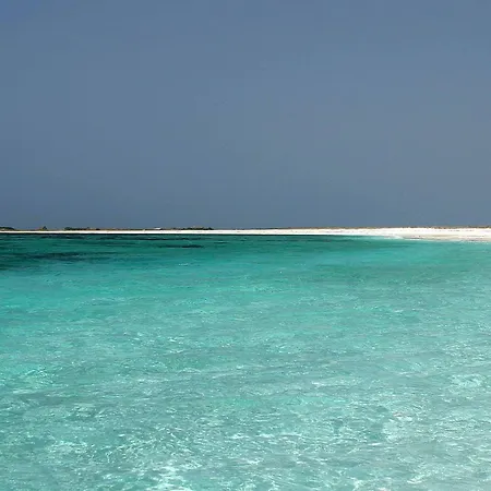 Sa Marchesa فيلة *